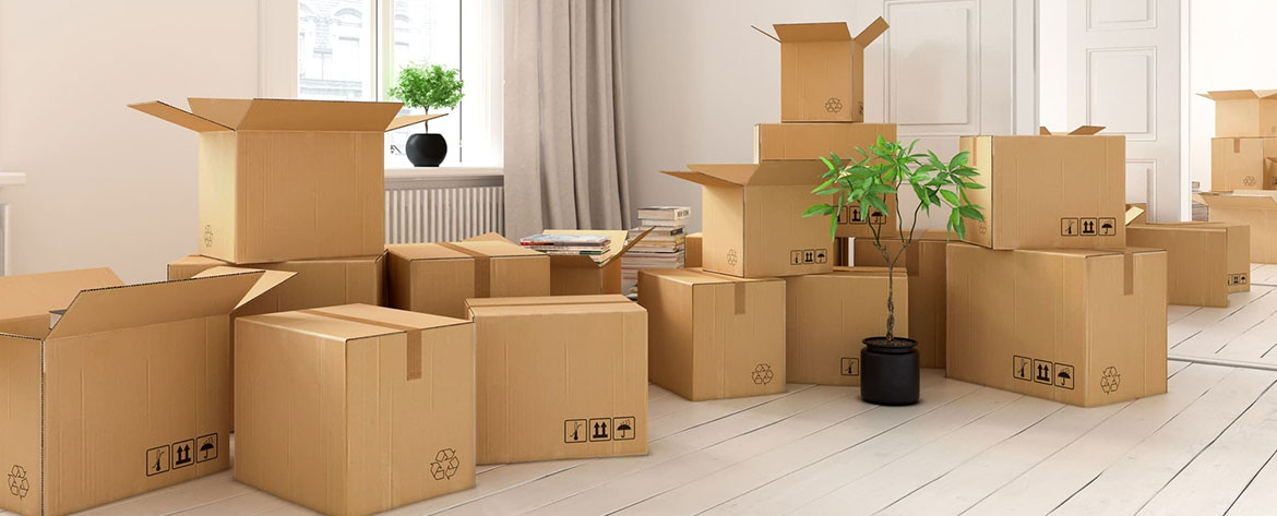 packers and movers quotes lucknow