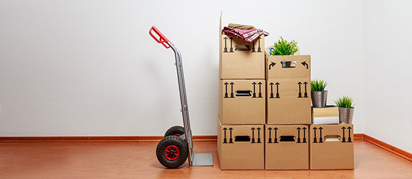 Movers and Packers Lucknow Charges